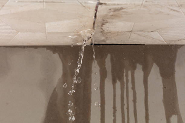 Professional Structural Drying technician working in Sealy, TX